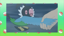 Poké Problem SM098.png