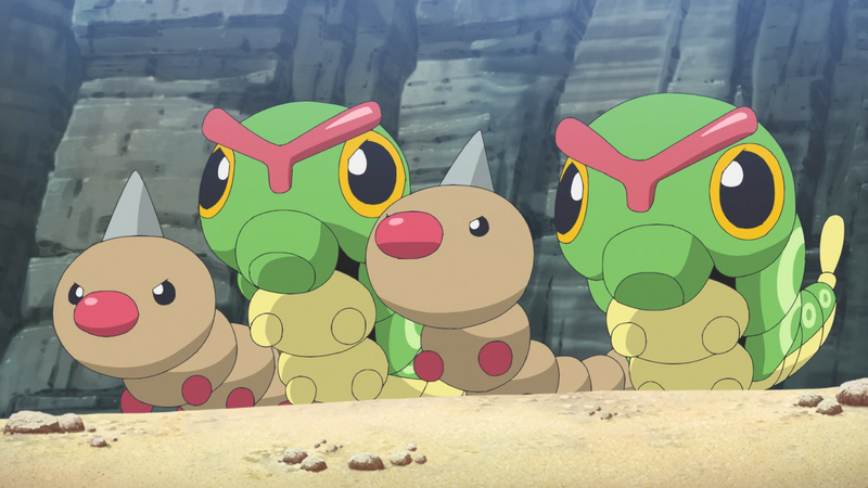 File:Roy hometown Weedle Caterpie.png