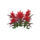 SMUSUM Red Flowers.png