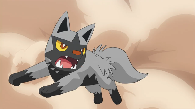 File:Team Flare Poochyena.png