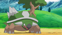 Paul's Torterra