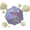 109Koffing.png