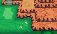 Secret Spot Route 116 2.png