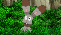 Goh Bunnelby.png