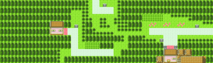 Johto Route 36 C.png