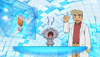 Professor Oak Holo Caster XY040.png