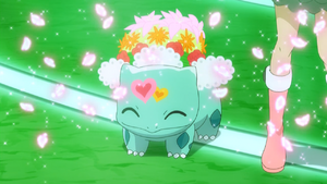 Shauna Bulbasaur Stage Clothing.png