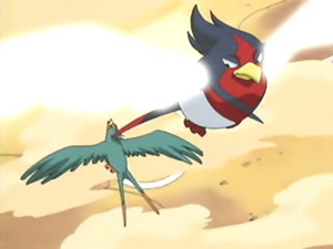 Ash Winona Swellow.png