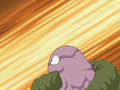 Grimer Counter Shield.png