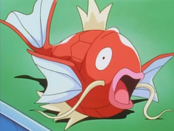 HopHopHop Town Magikarp.png