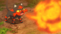 Ash Litten Ember.png