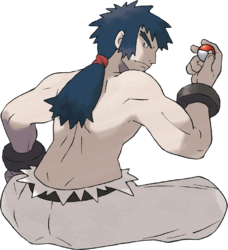 Bruno's Onix - Bulbapedia, the community-driven Pokémon encyclopedia