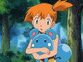 Misty and Azurill.png