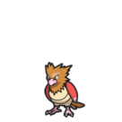 Chatot (Pokémon) - Bulbapedia, The Community-driven Pokémon Encyclopedia