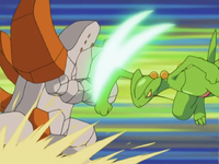 Brandon Regirock Iron Defense.png