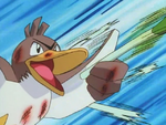 Keith Farfetch'd Fury Attack.png