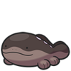 Clodsire