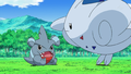 Togekiss scolding Gible.png