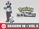 Pokémon BW S16 Vol 3 Amazon.png