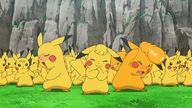 A Plethora of Pikachu!