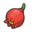 Bag Pomeg Berry SV Sprite.png