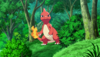 Trevor's Charmeleon