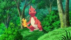 The Evolution of Charmeleon's first appearance by Advanceshipper2021 on  DeviantArt