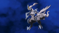 White Kyurem in the anime