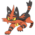 Torracat