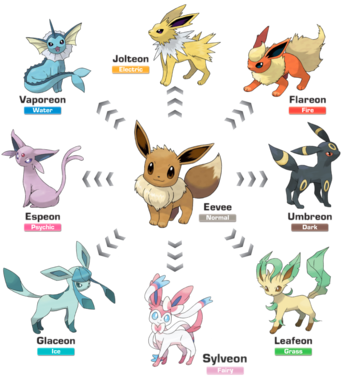 How to Evolve Eevee - All Evolutions - Pokemon Sword and Shield