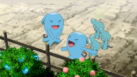 Dr. White's Wobbuffet