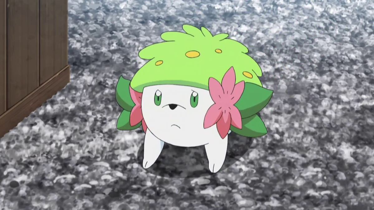 Mallow shaymin