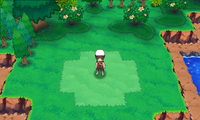 Mirage Island south of Route 132 ORAS.png