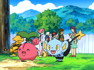 Reggie Shinx.png