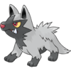 0261Poochyena.png