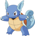 008Wartortle AG anime.png