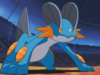 Jos's Swampert