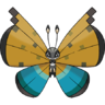 0666Vivillon-River.png