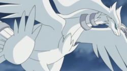 Reshiram anime.png