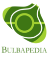 Arven - Bulbapedia, the community-driven Pokémon encyclopedia