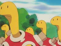 Old Man Shuckle's Shuckle