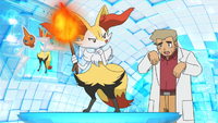 Professor Oak Holo Caster XY089.png