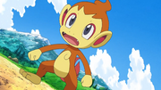 Ash Chimchar.png