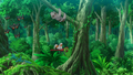 Jungle Pattern Vivillon in the anime