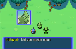 Metapod Mystery Dungeon Red and Blue.png