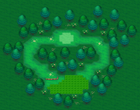 Mirage Forest south of Route 109 ORAS.png