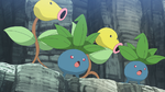 Roy hometown Oddish Bellsprout.png