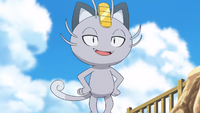 Matori's Meowth