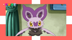 PokéTV XY110.png