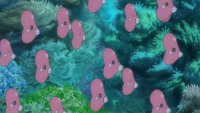 Ash's Luvdisc